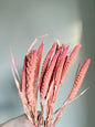 Wheat Preserved